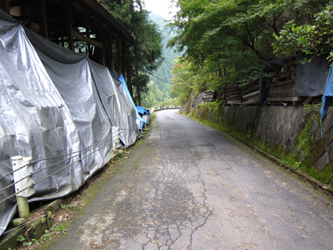 20191031hike (370)